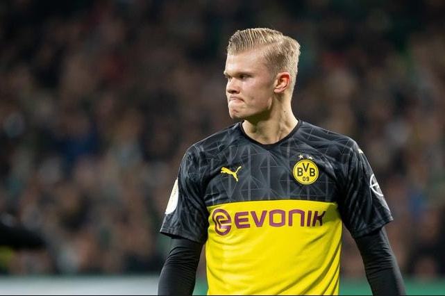 他们的整体 他们的整体